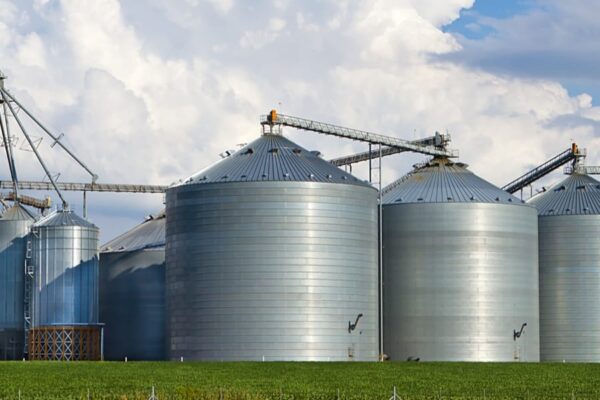 Animal Feed Processing Machine In Ethiopia banner